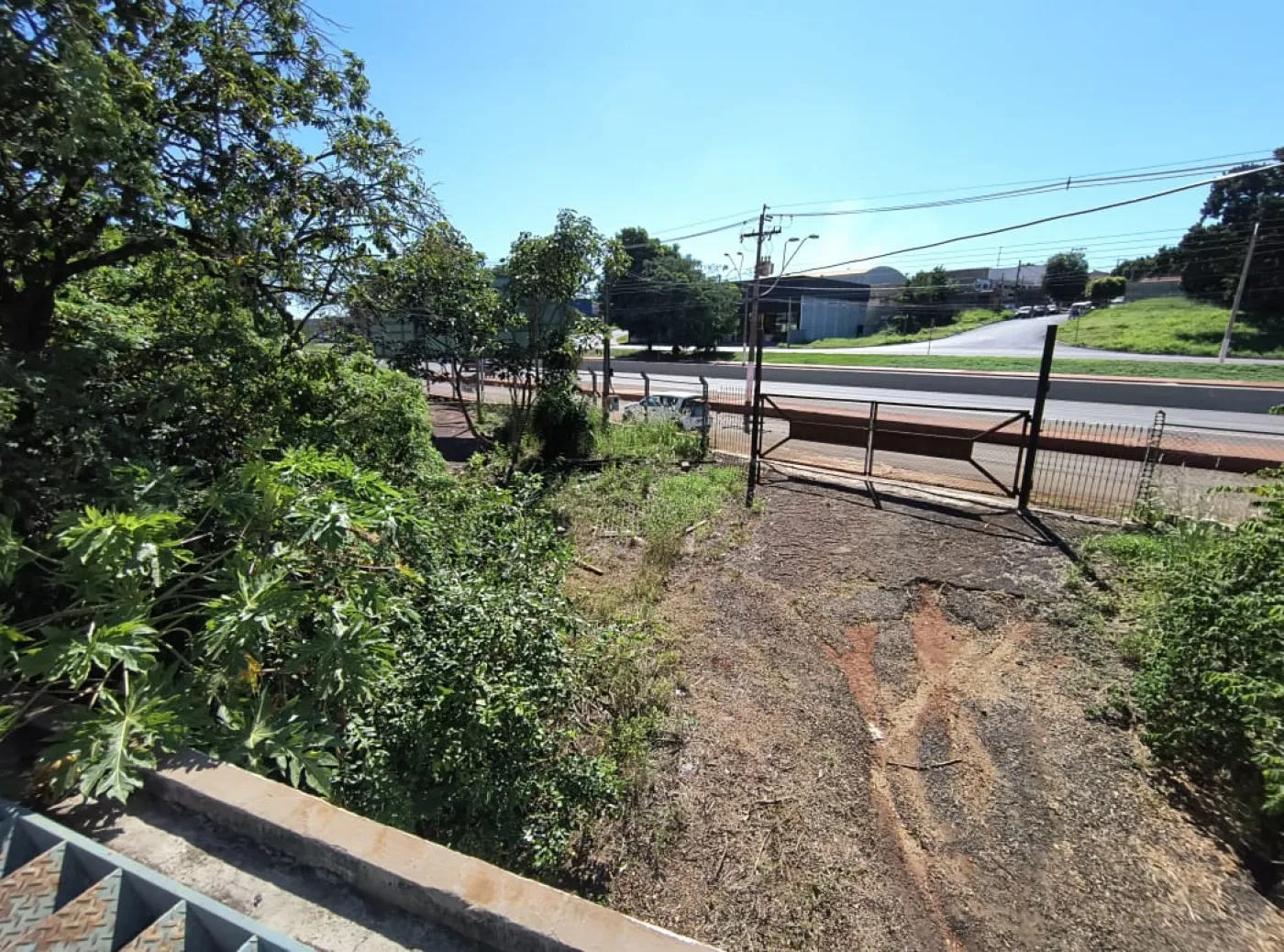 Alugar Rural / Chácara em Sertãozinho R$ 7.000,00 - Foto 2