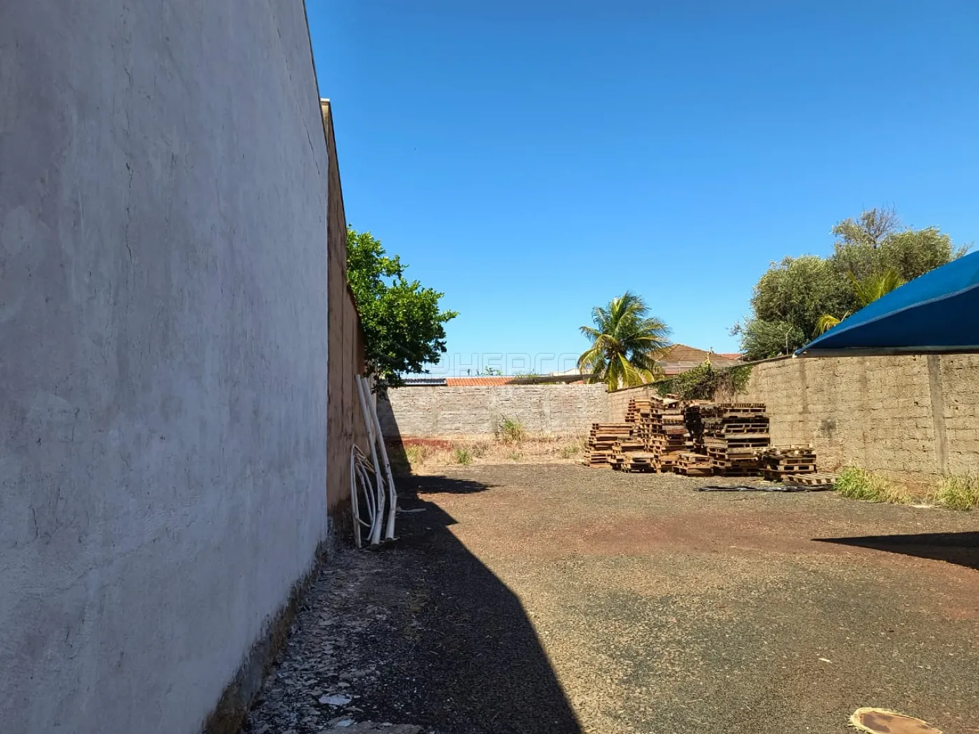 Comprar Terreno / Padrão em Sertãozinho R$ 795.000,00 - Foto 3