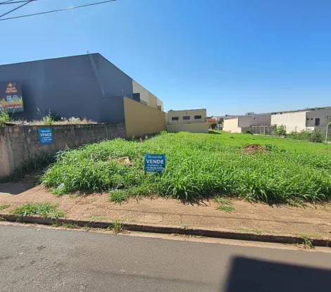 imagem 1 - Terreno - Padrão imagem 1 - Terreno - Padrão